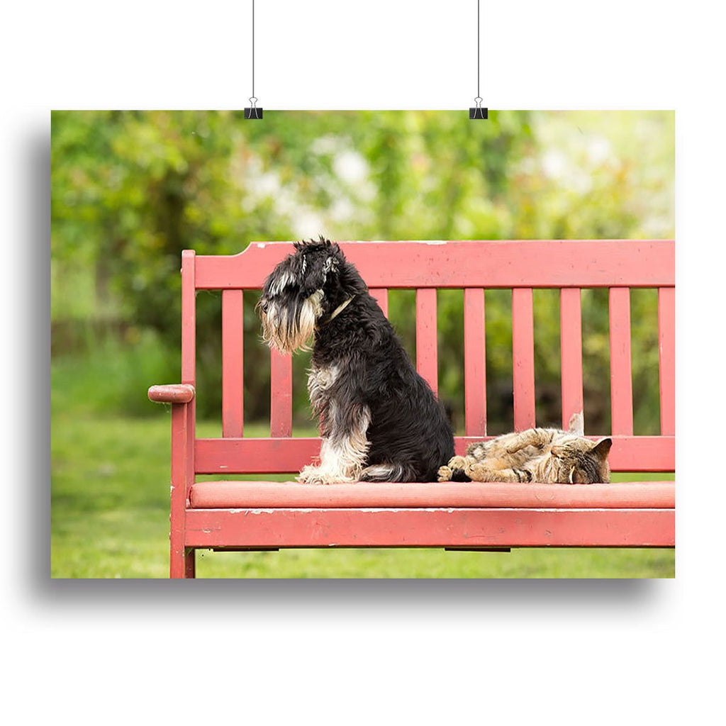 Miniature Schnauzer and Cat Friend Wall Art