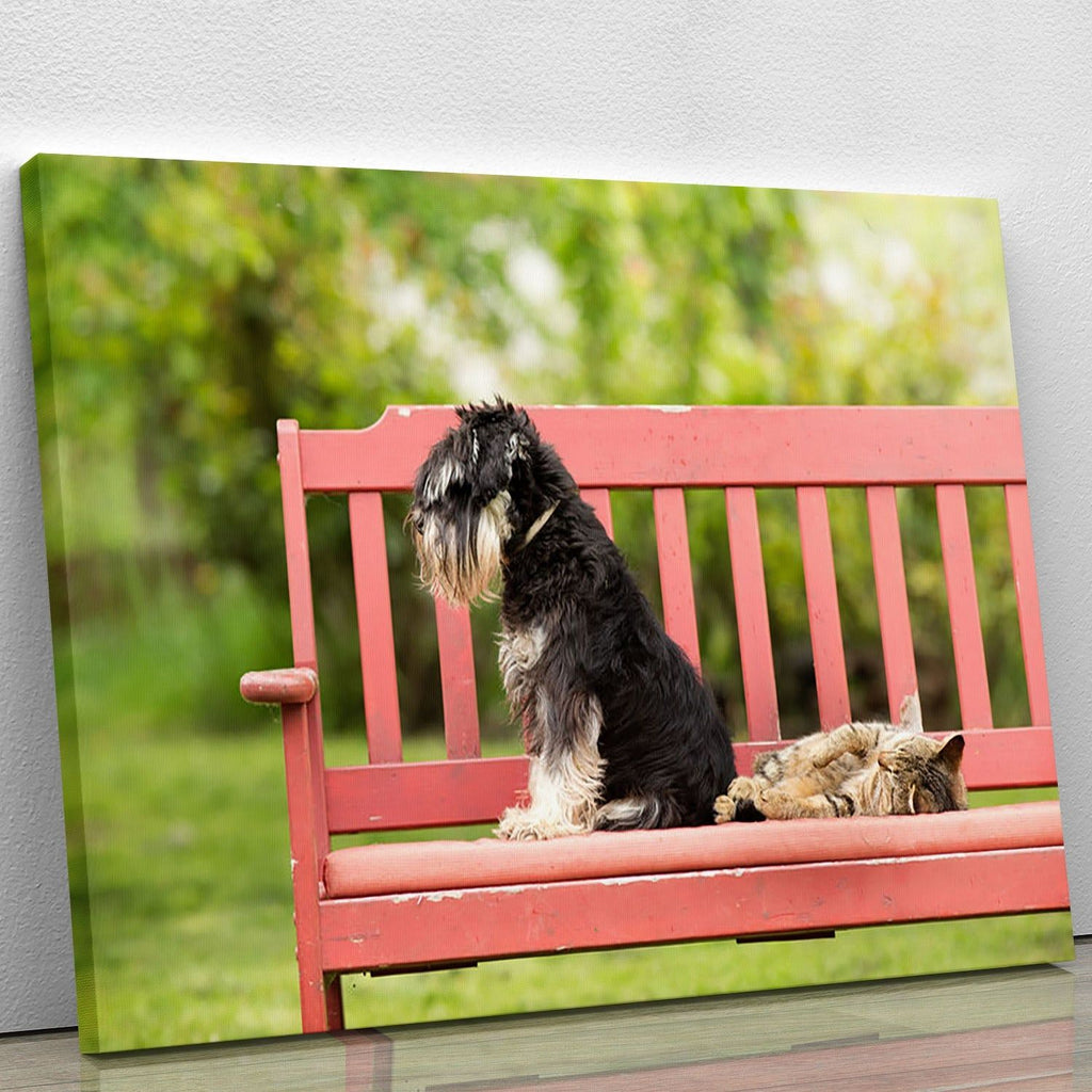 Miniature Schnauzer and Cat Friend Wall Art