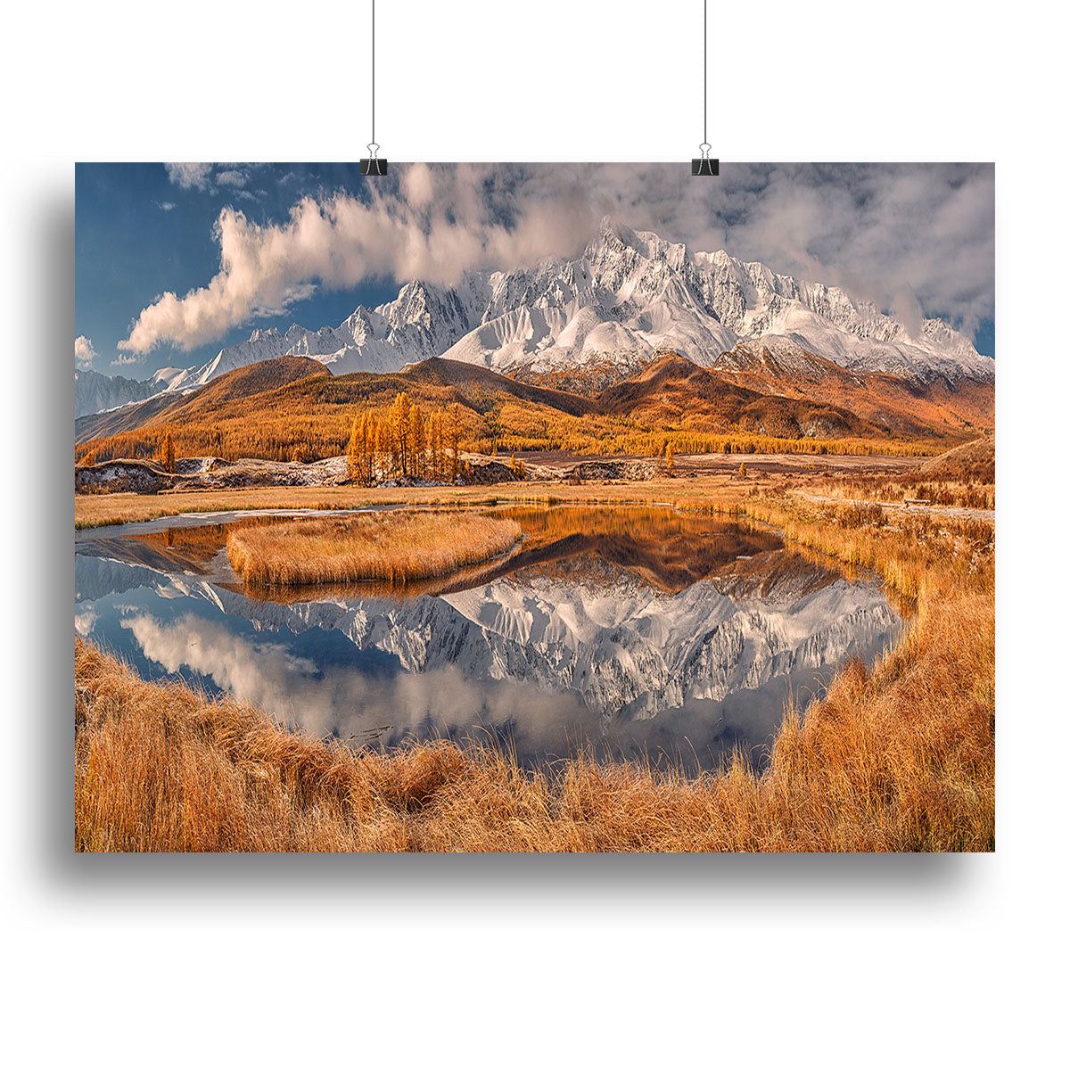 Premium Canvas Prints and Posters for Every Style