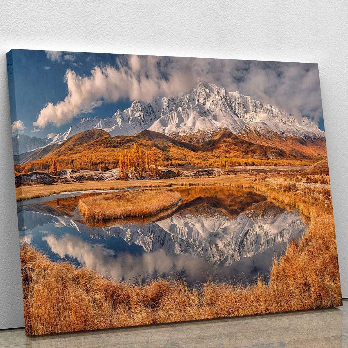 Premium Canvas Prints and Posters for Every Style