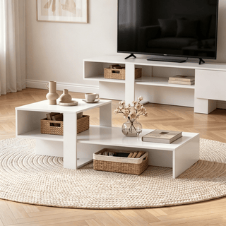 Modern 2-Tier Coffee Table Irregular Center Table with Open Storage Shelf for Living Room