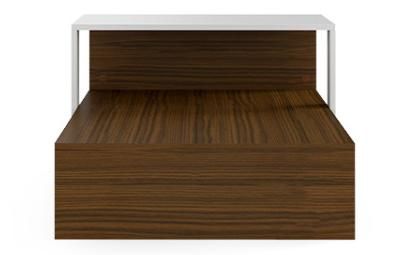 Modern 2-Tier Coffee Table Irregular Center Table with Open Storage Shelf for Living Room