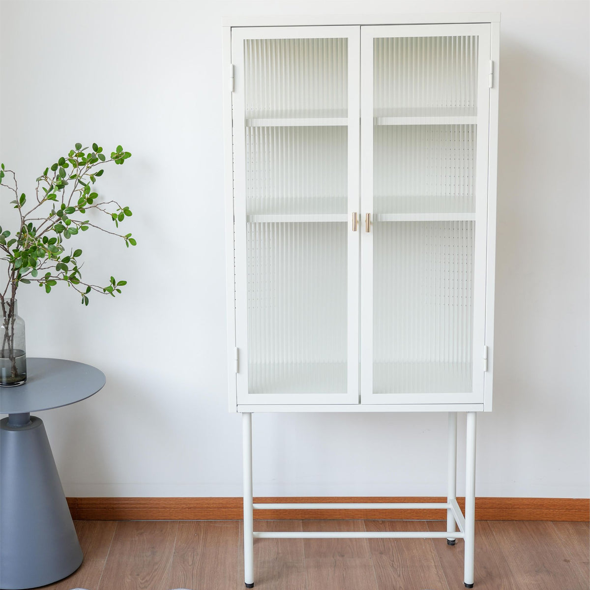 Modern Matte Storage Cabinet with Adjustable Shelves