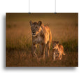 Lioness and Cub Art with a Tender Wildlife Theme