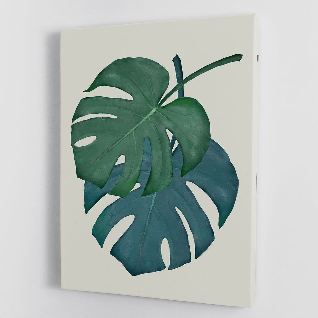 Monstera Aqua 06 Canvas Print or Poster
