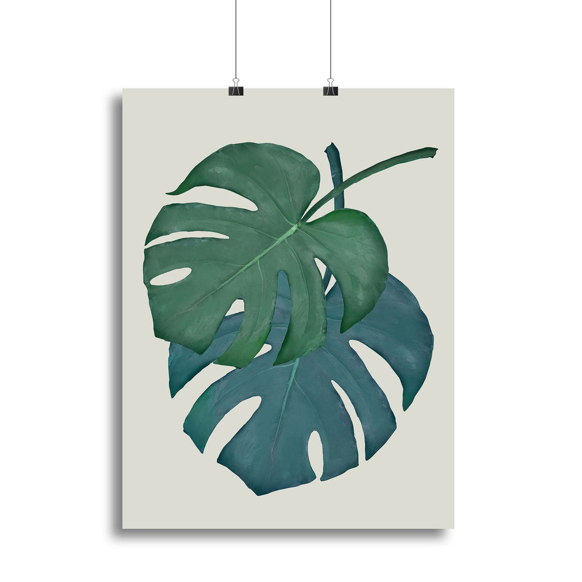 Monstera Aqua 06 Canvas Print or Poster