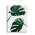 Monstera Natural 46 Canvas Print or Poster