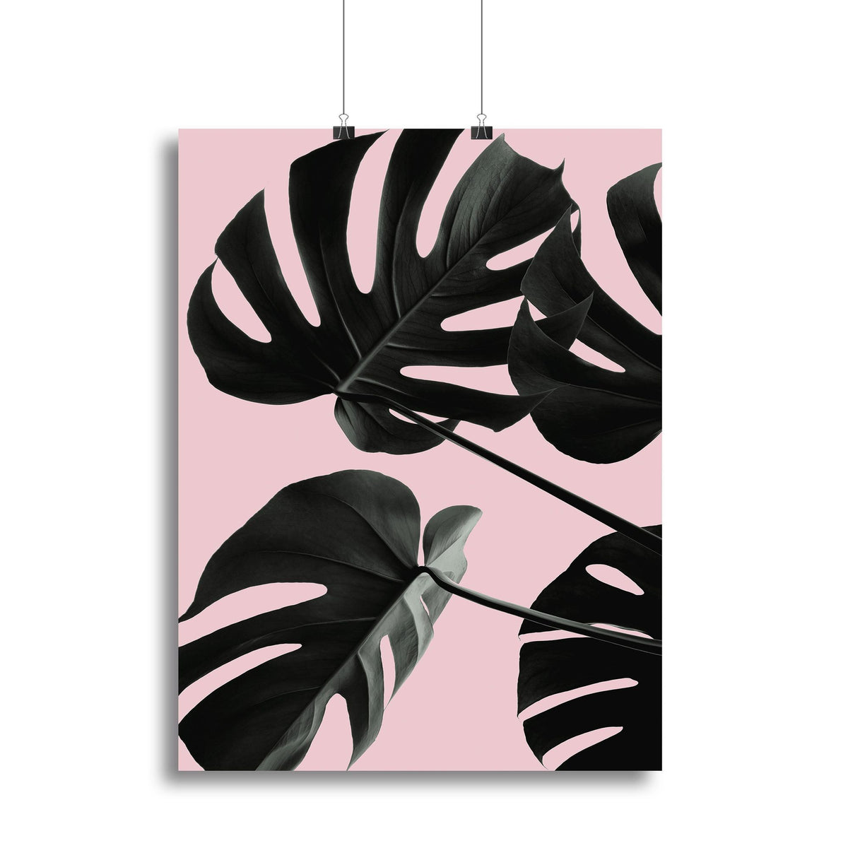 Monstera Pink No 01 Botanical Canvas Print or Poster