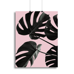 Monstera Pink No 01 Botanical Canvas Print or Poster