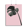 Monstera Pink No 02 Canvas Print or Poster
