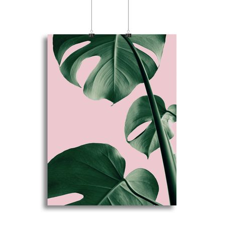 Monstera Pink No 06 Botanical Wall Art