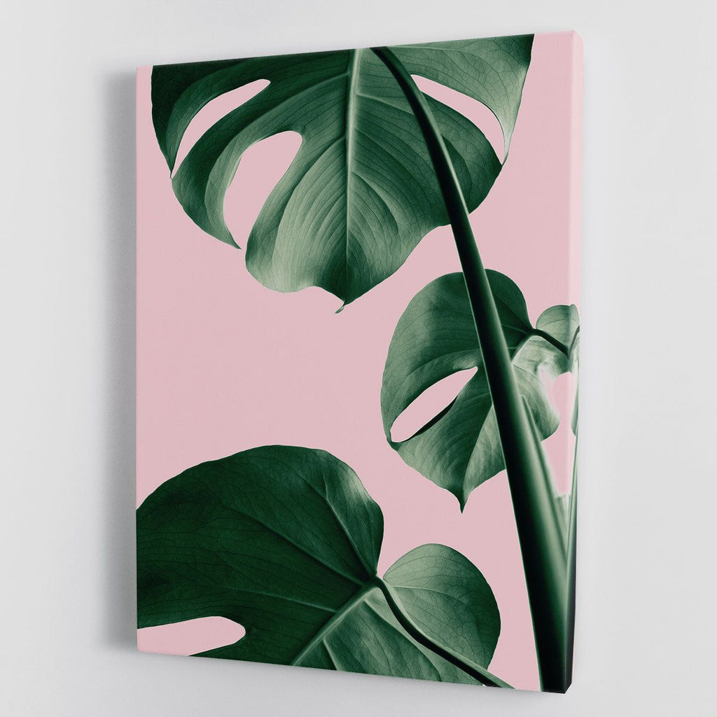 Monstera Pink No 06 Botanical Wall Art