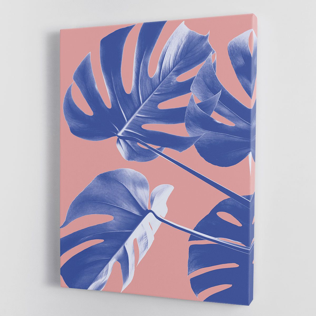 Monstera Purple 06 Canvas Print or Poster