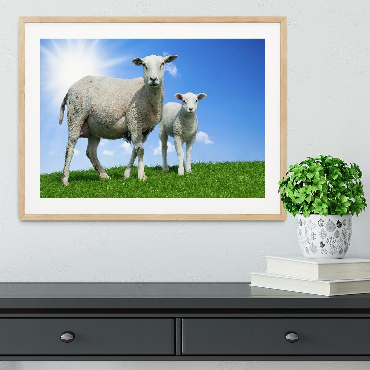 Mother Sheep and Lamb in Spring Framed Print