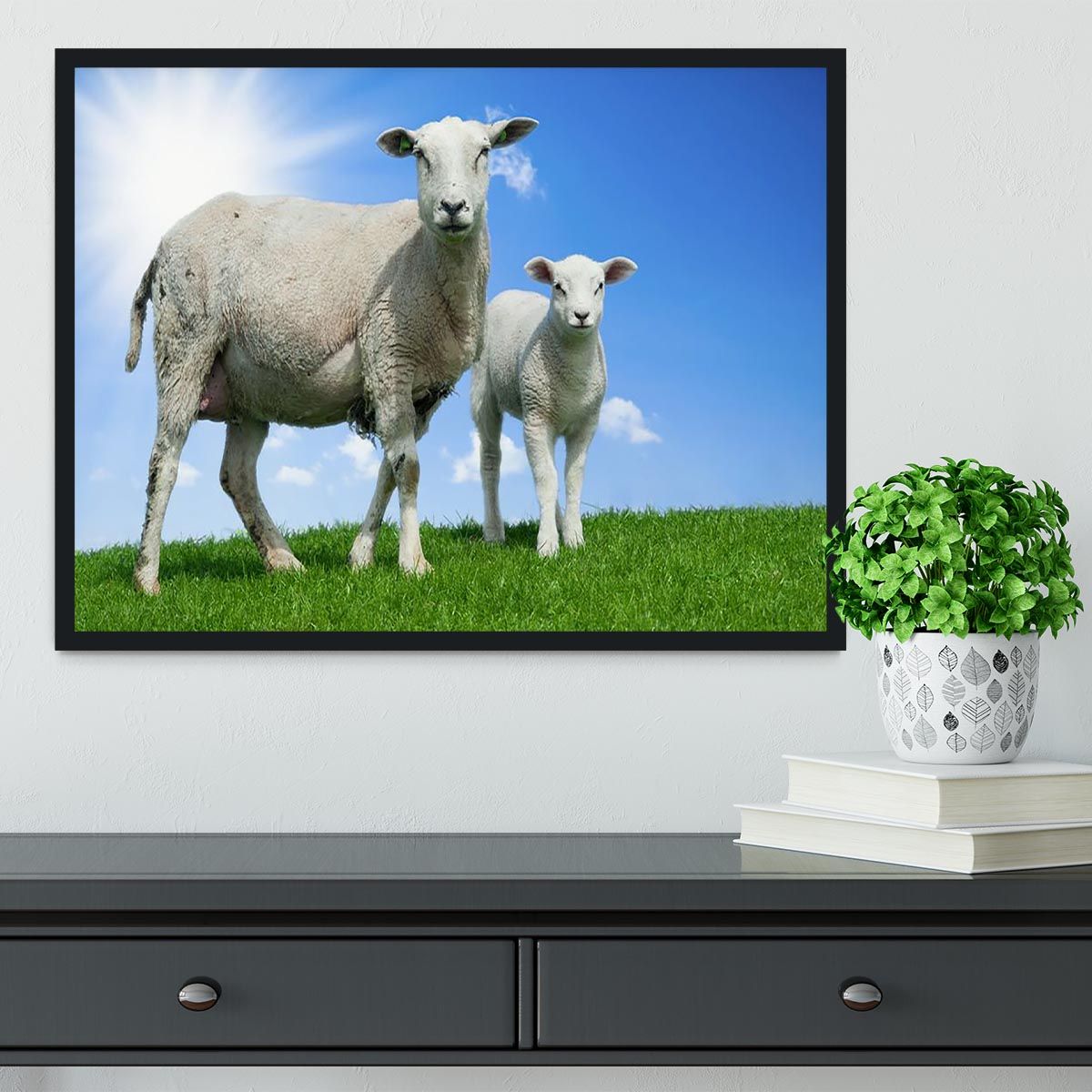 Mother Sheep and Lamb in Spring Framed Print