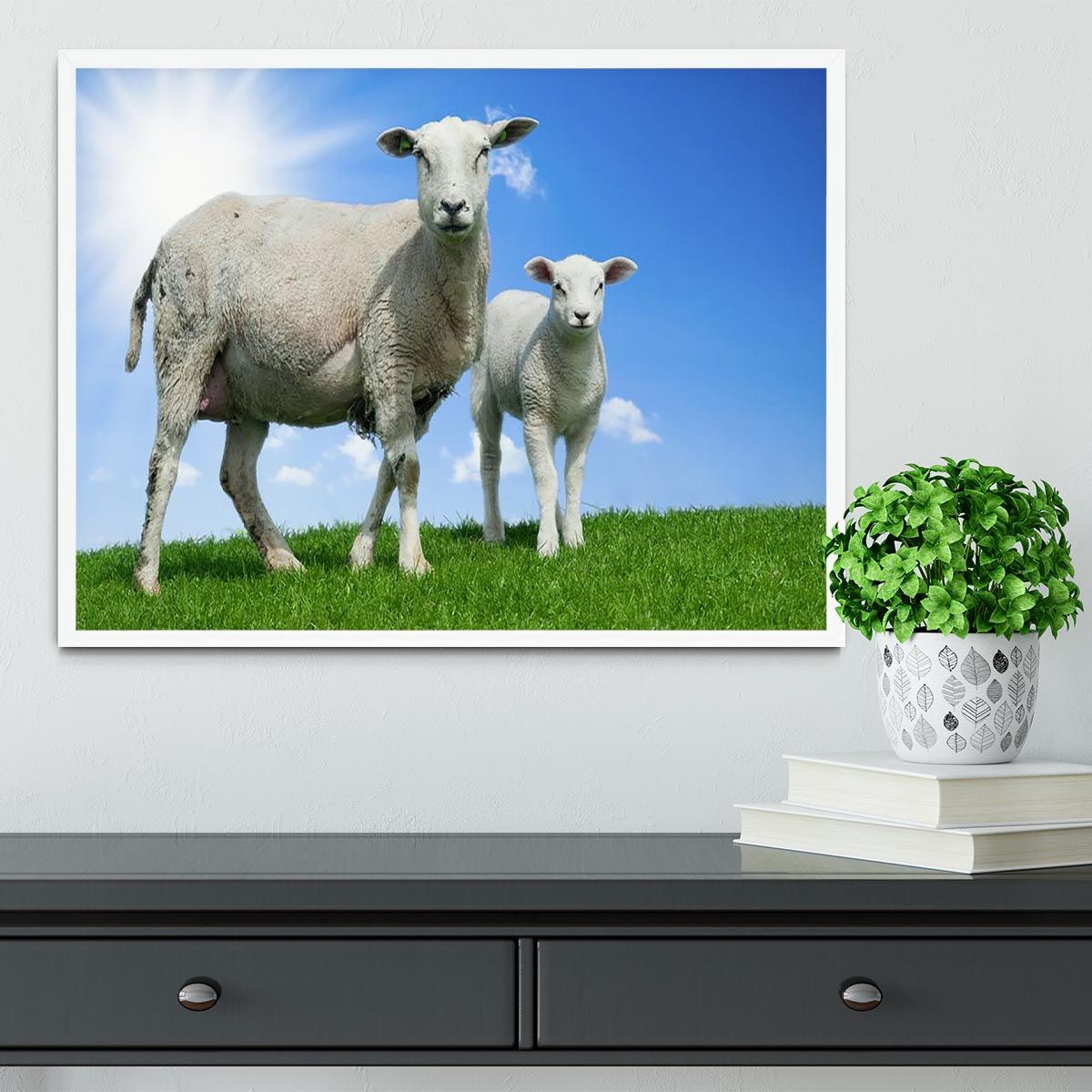Mother Sheep and Lamb in Spring Framed Print