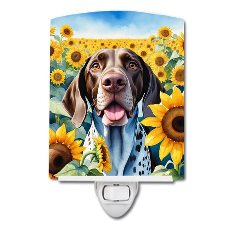 Artistic Decorative Night Light with Vibrant Artwork