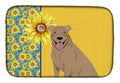 Absorbent Dish Drying Mat with Non-Slip Backing - Fast Drying, Generous Size