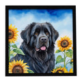 Newfoundland in Sunflowers – Square Ready-to-Hang Wall Art, Easy to Clean, Artist-Made
