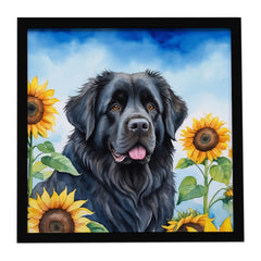 Newfoundland in Sunflowers – Square Ready-to-Hang Wall Art, Easy to Clean, Artist-Made