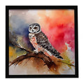 Northern Hawk Owl Framed Metal Wall Art