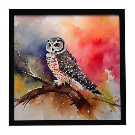 Northern Hawk Owl Framed Metal Wall Art