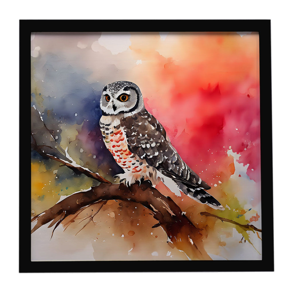 Northern Hawk Owl Framed Metal Wall Art