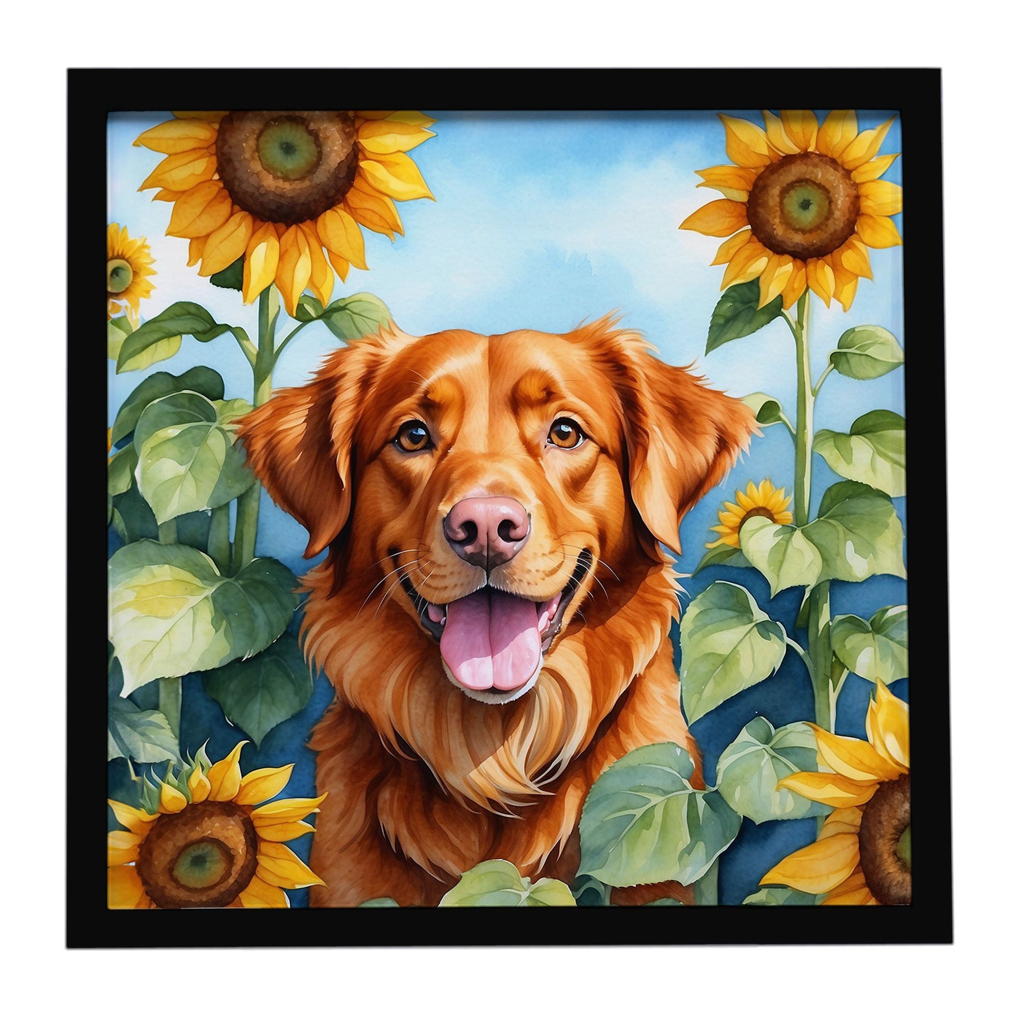 everyday Metal Wall Art – Modern, Glass-Free, Ready to Hang
