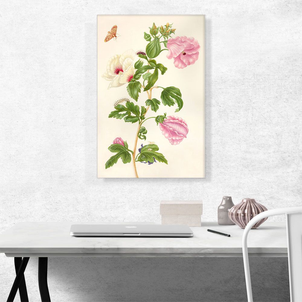 Okra Flowering Plant 1702 Botanical Canvas Art
