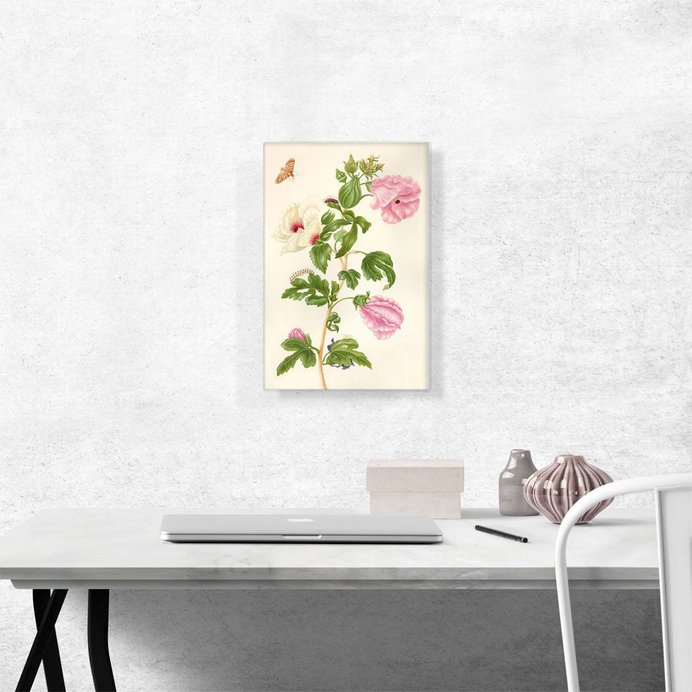 Okra Flowering Plant 1702 Botanical Canvas Art