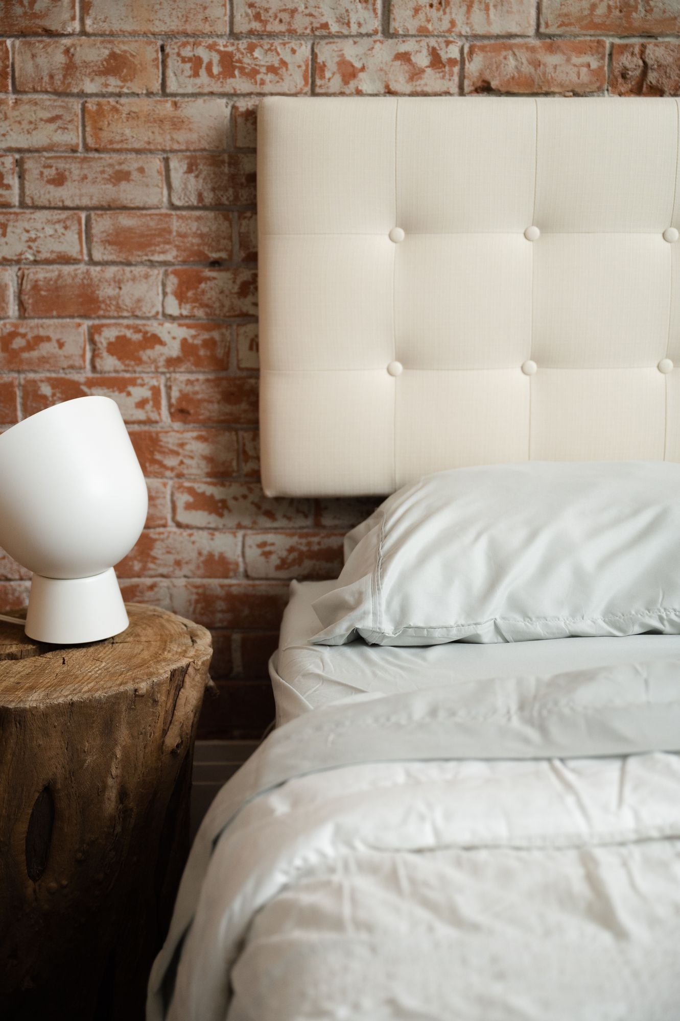 Omne Sleep Microplush & Bamboo Sheet Set - Queen