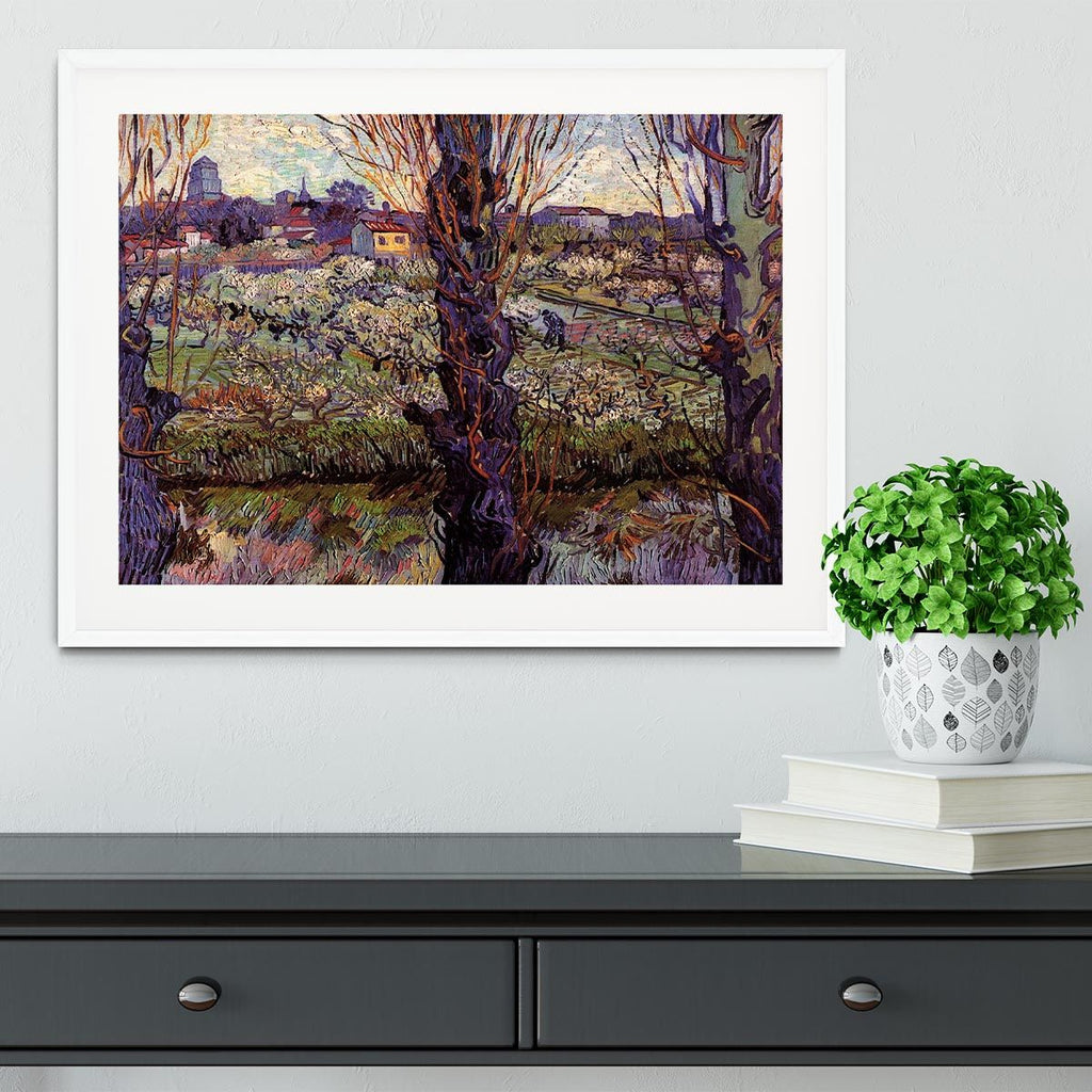 Van Gogh Orchard in Blossom Framed Print