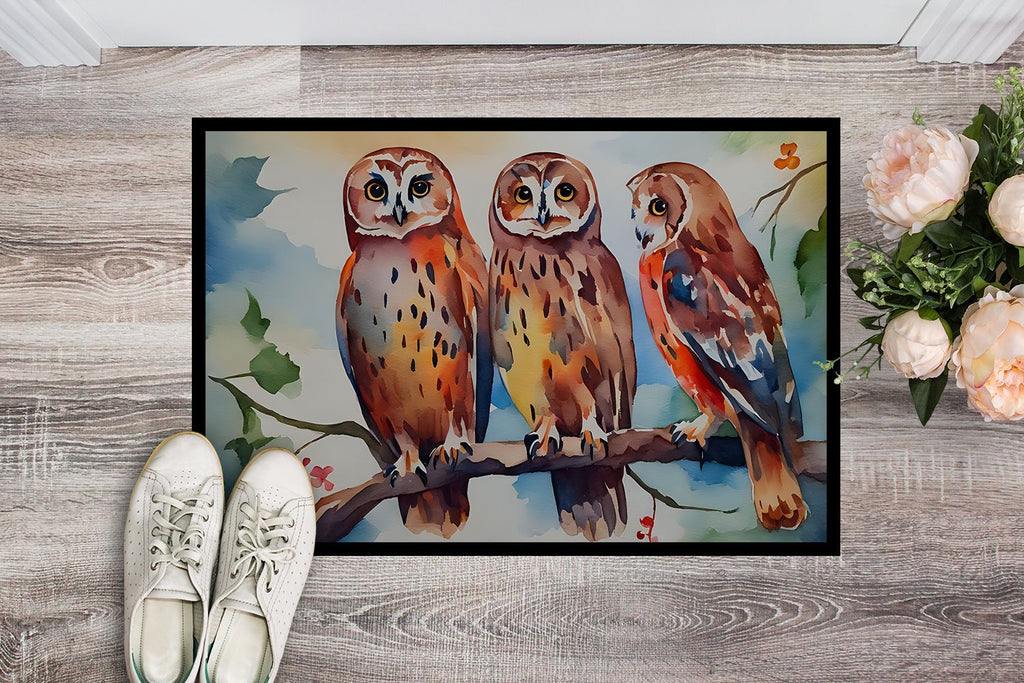 Owl Artwork Indoor-Outdoor Entryway Doormat
