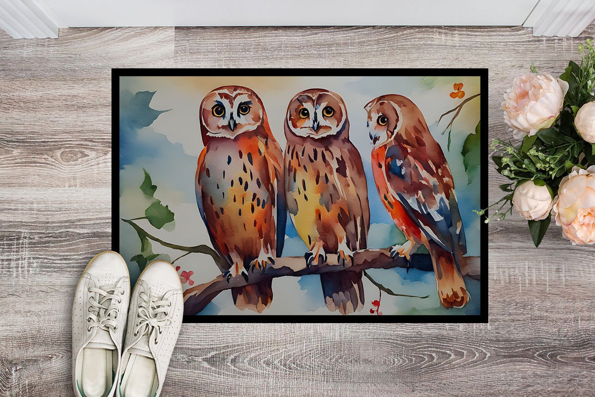 Owl Artwork Indoor-Outdoor Entryway Doormat