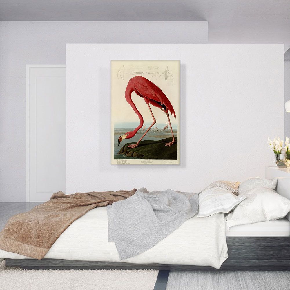 Pink American Flamingo Wall Art With Vivid Detail