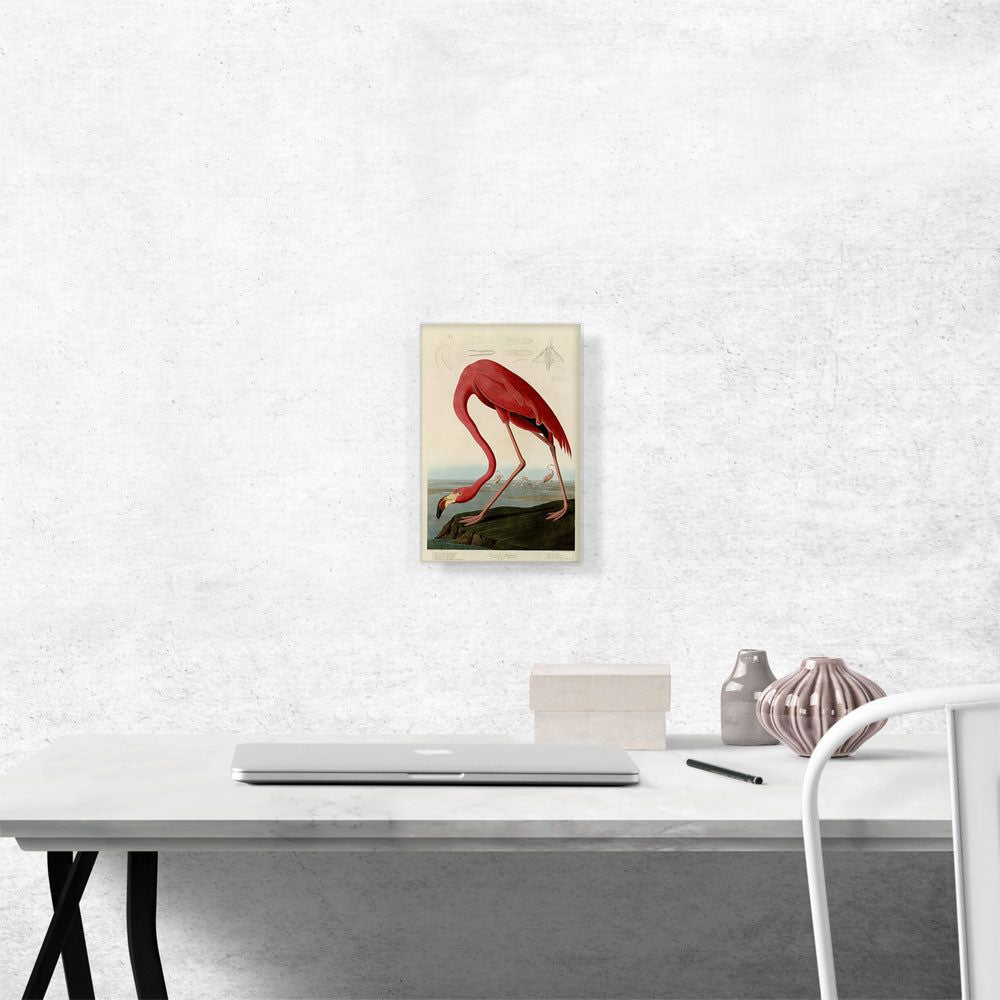 Pink American Flamingo Wall Art With Vivid Detail