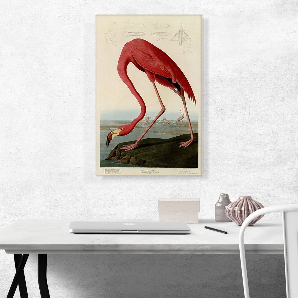 Pink American Flamingo Wall Art With Vivid Detail