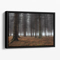 Place Of Silence Floating Framed Canvas