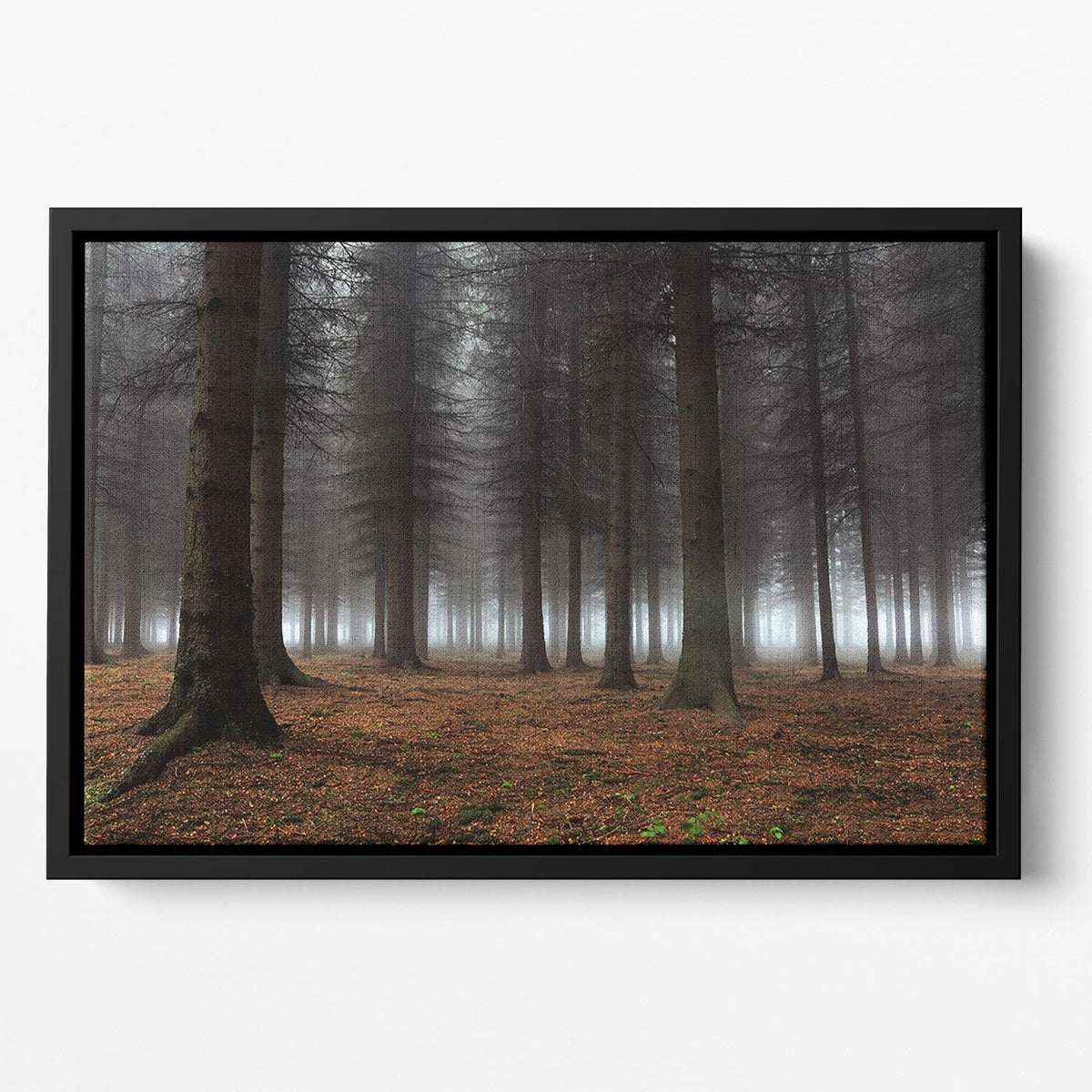 Place Of Silence Floating Framed Canvas