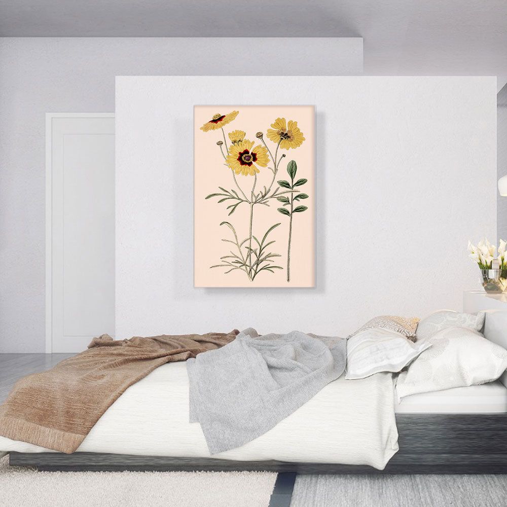 Plains Coreopsis Flowers 1824