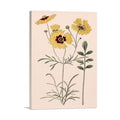 Plains Coreopsis Flowers 1824