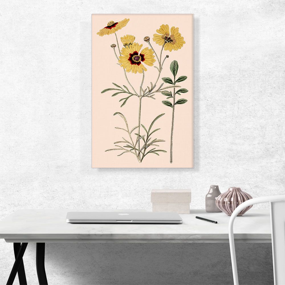 Plains Coreopsis Flowers 1824
