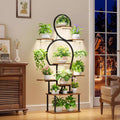 Tiered Indoor Plant Stand with Integrated Grow Light