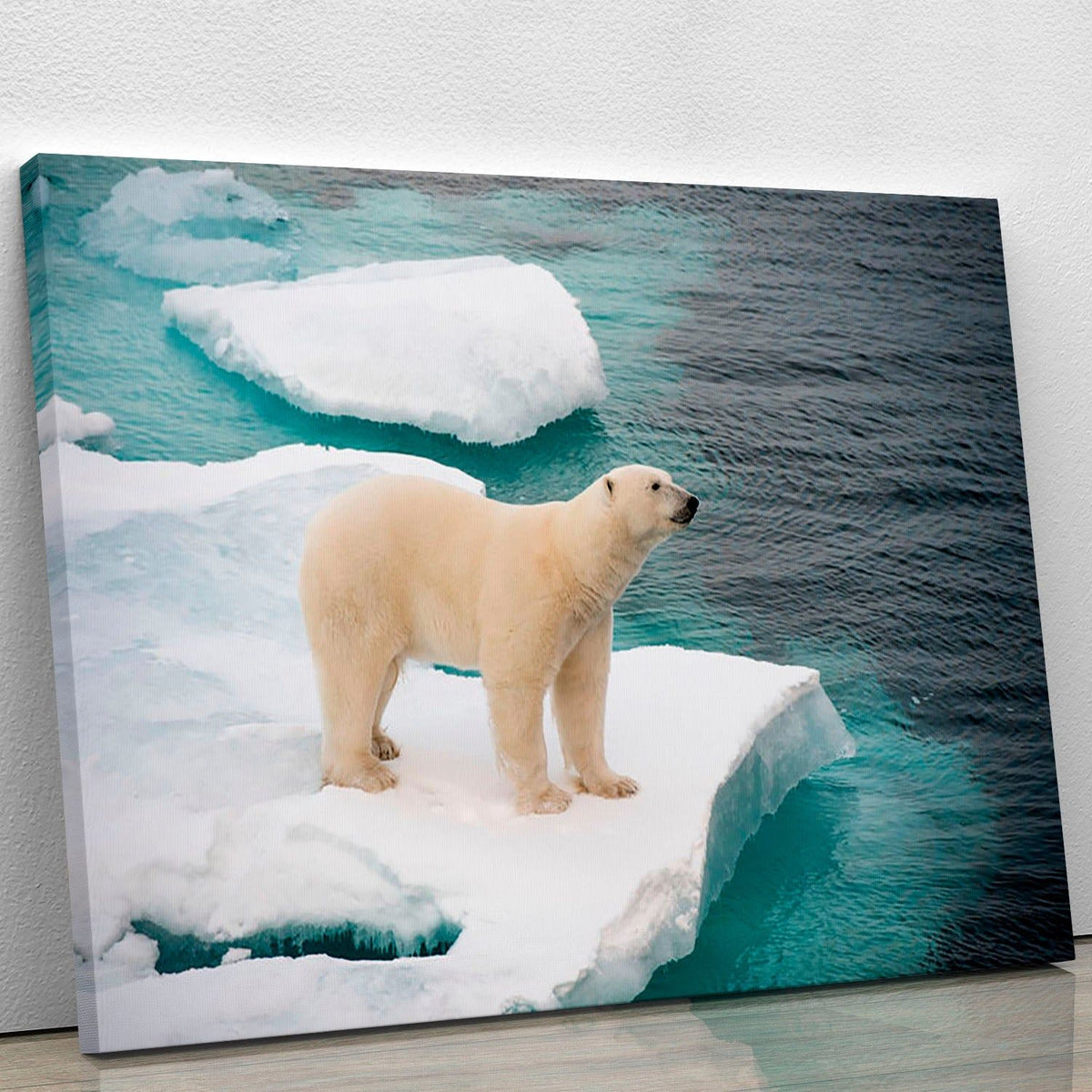 Polar Bear Walking on Sea Ice Wall Art