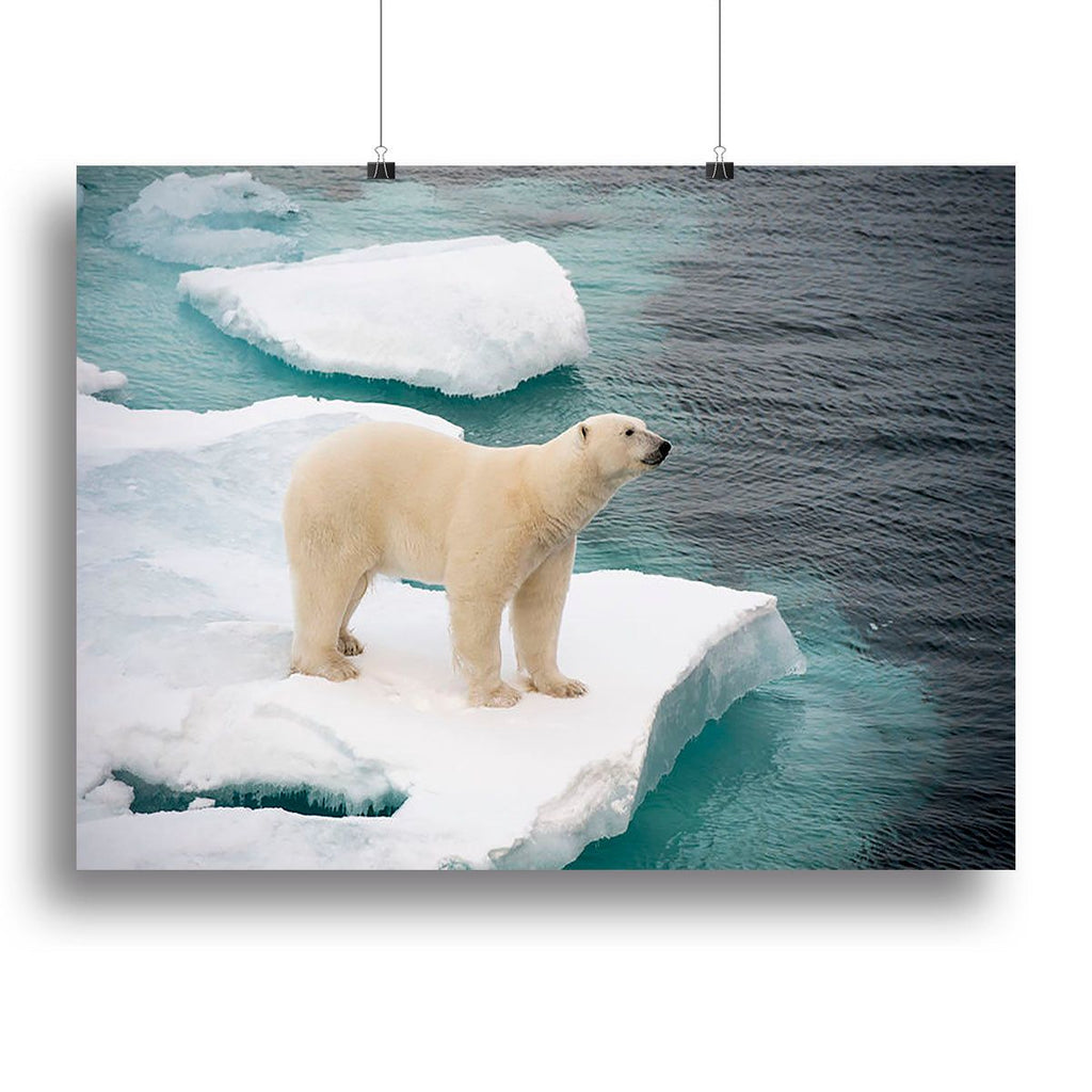 Polar Bear Walking on Sea Ice Wall Art