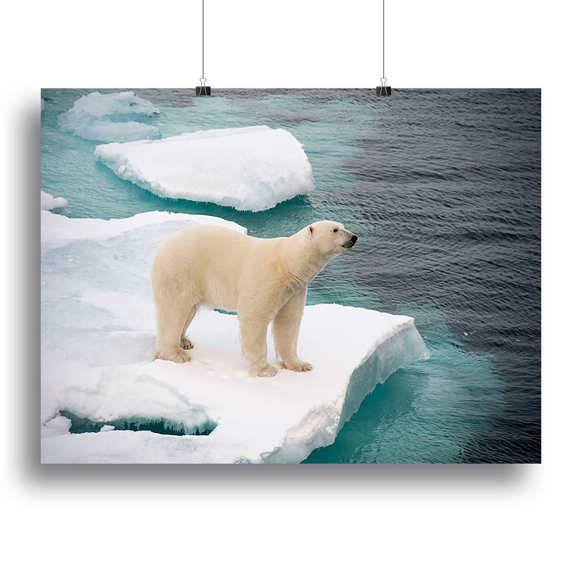 Polar Bear Walking on Sea Ice Wall Art