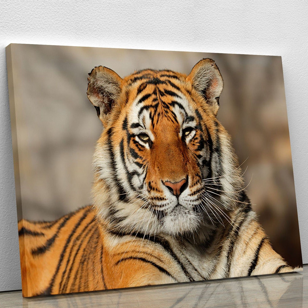 Portrait of a Bengal Tiger Wall Art