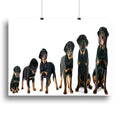 Rottweiler Puppy Portrait Wall Art