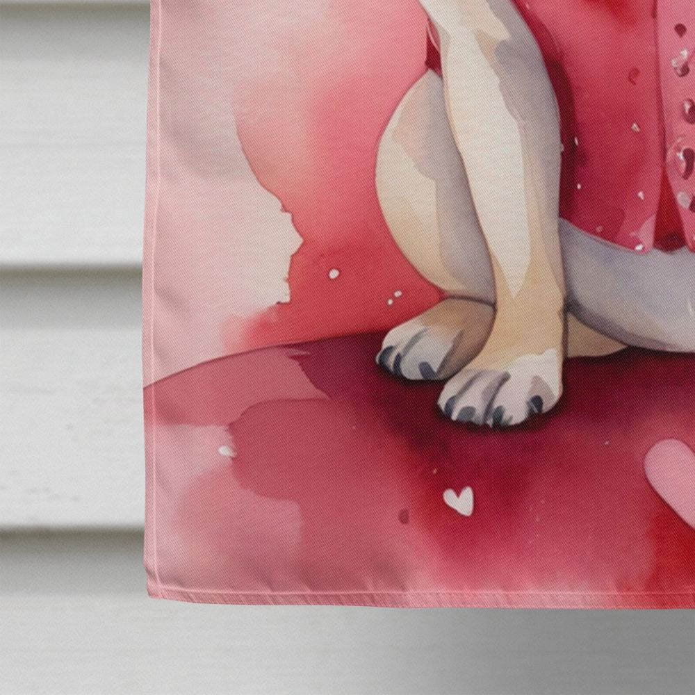 Large Valentine's Day House Flag – Double-Sided Outdoor Decor