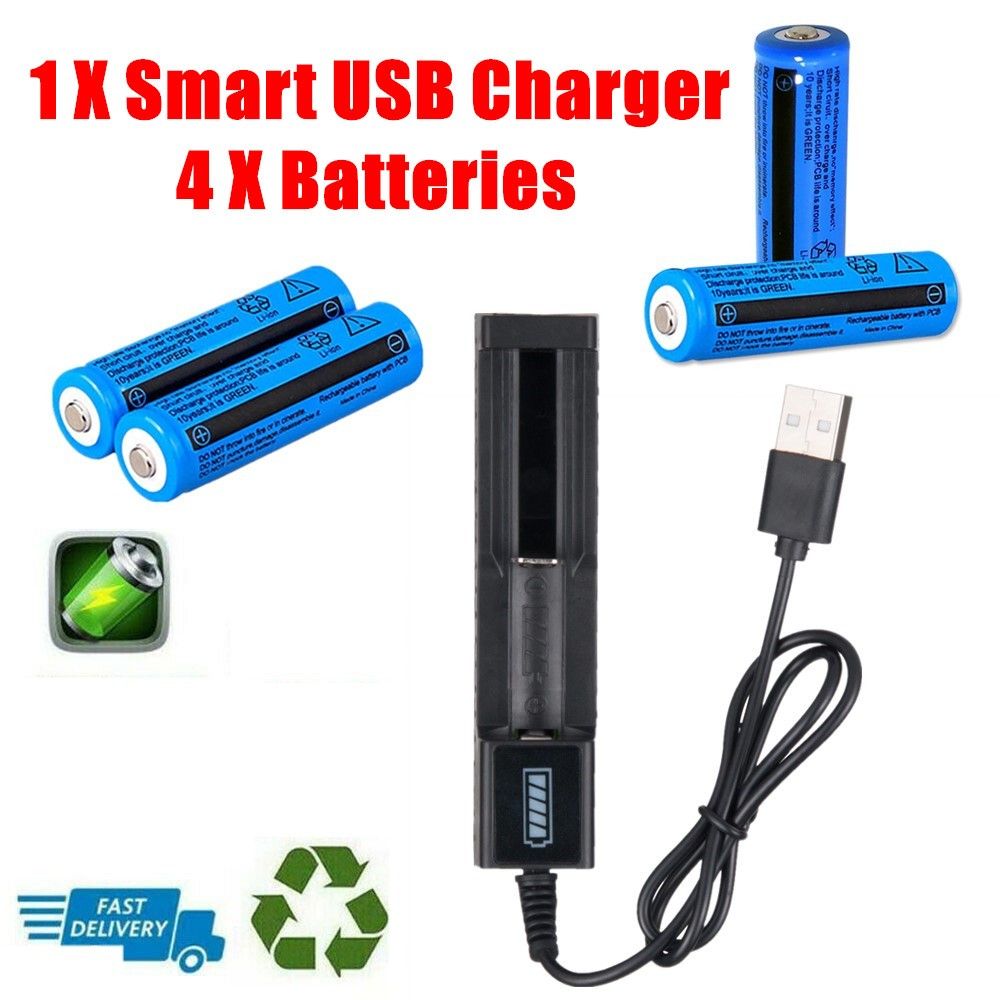 Rechargeable Button-Top Batteries and USB Charger